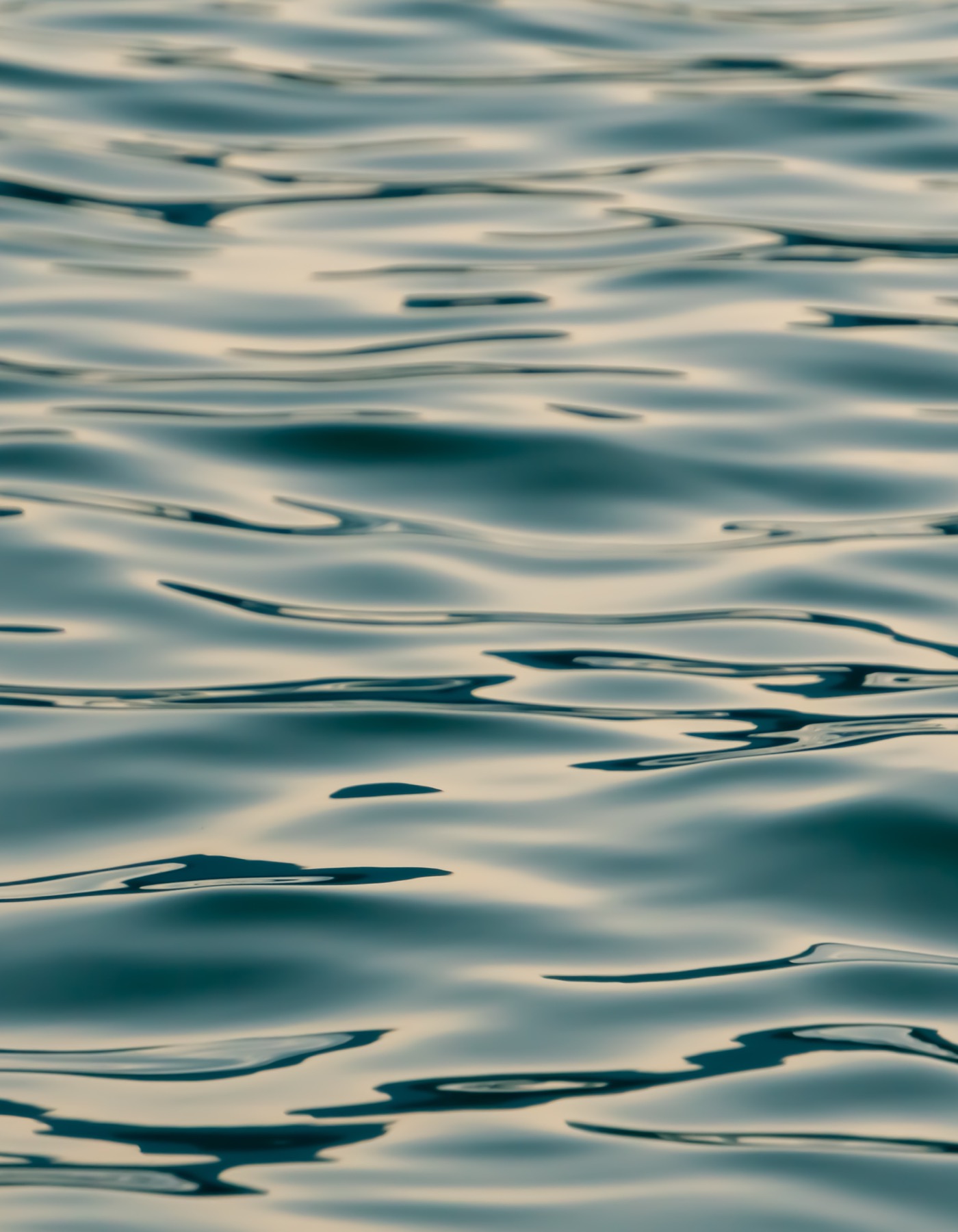 Habitat Twin Waters Enquiry